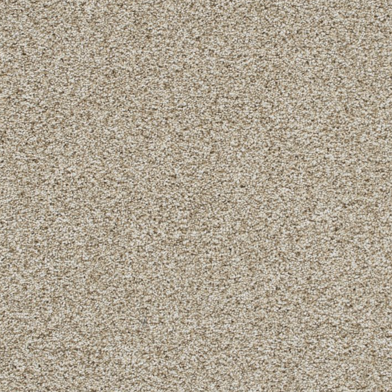 Reflections II Seashells carpet - Bisbees Flooring