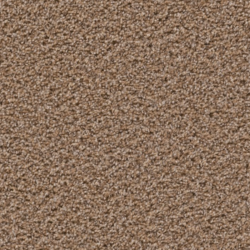 UNTOUCHABLE Palmetto 599 carpet - Bisbees Flooring