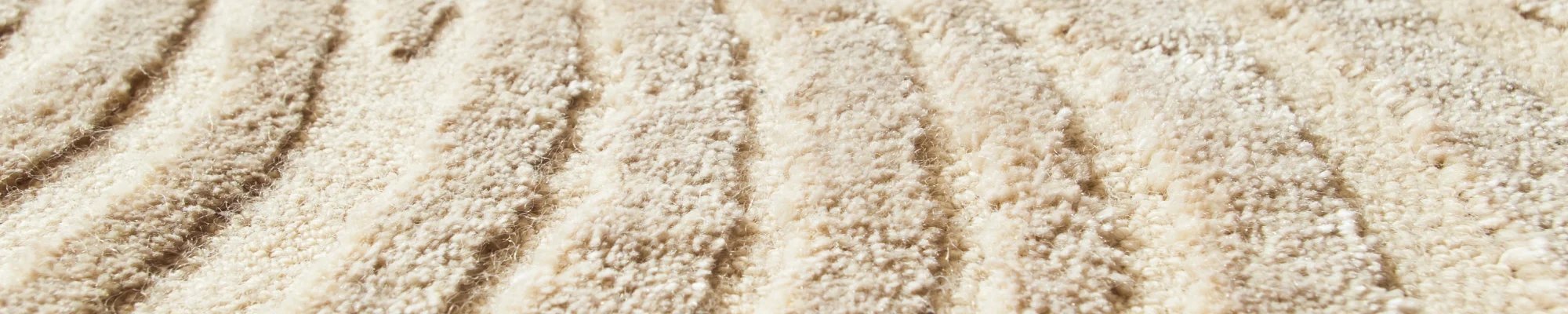Textured shag carpet flooring in McFarland WI