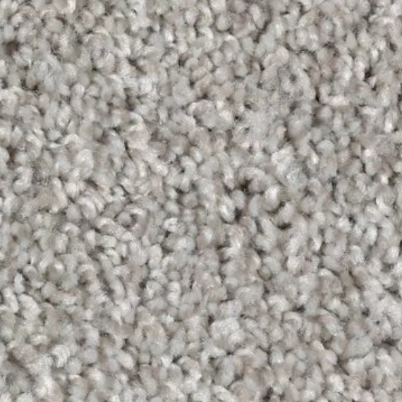Mohawk Heathered Tones II carpet - Bisbees Flooring
