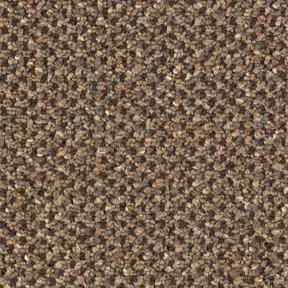 Aladdin Commercial carpet - Bisbees Flooring